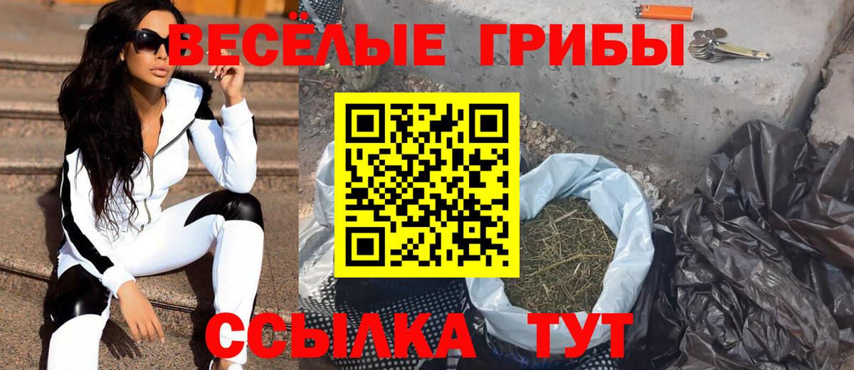Псилоцибиновые грибы мицелий  Галлюциногенные грибы Psilocybe  Рязань  Вход с VPN 