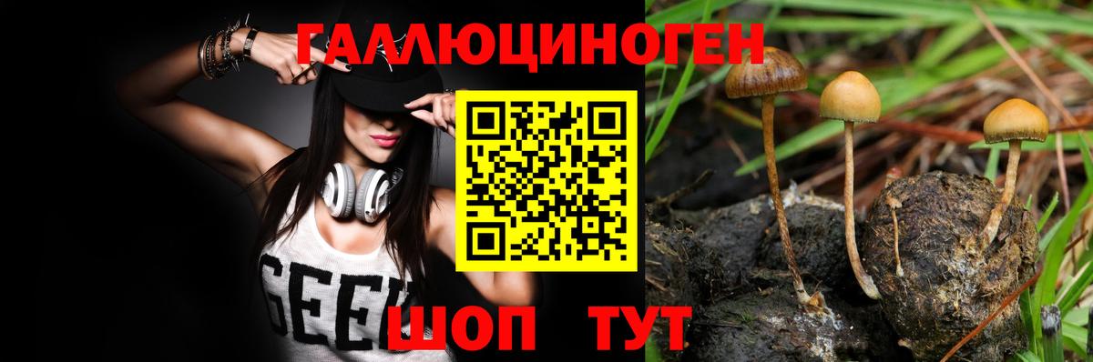 Галлюциногенные грибы GOLDEN TEACHER Рязань